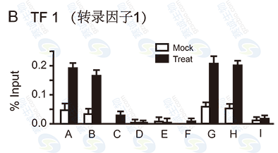 ChIP model figure B