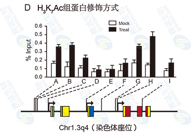 ChIP model figure D