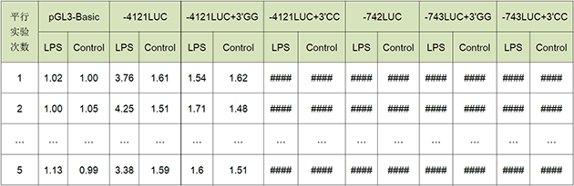 Luciferase分析調控位點