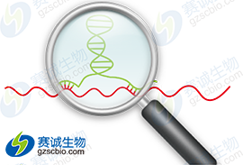 2.1 lncRNA的研究背景及本章題圖.png