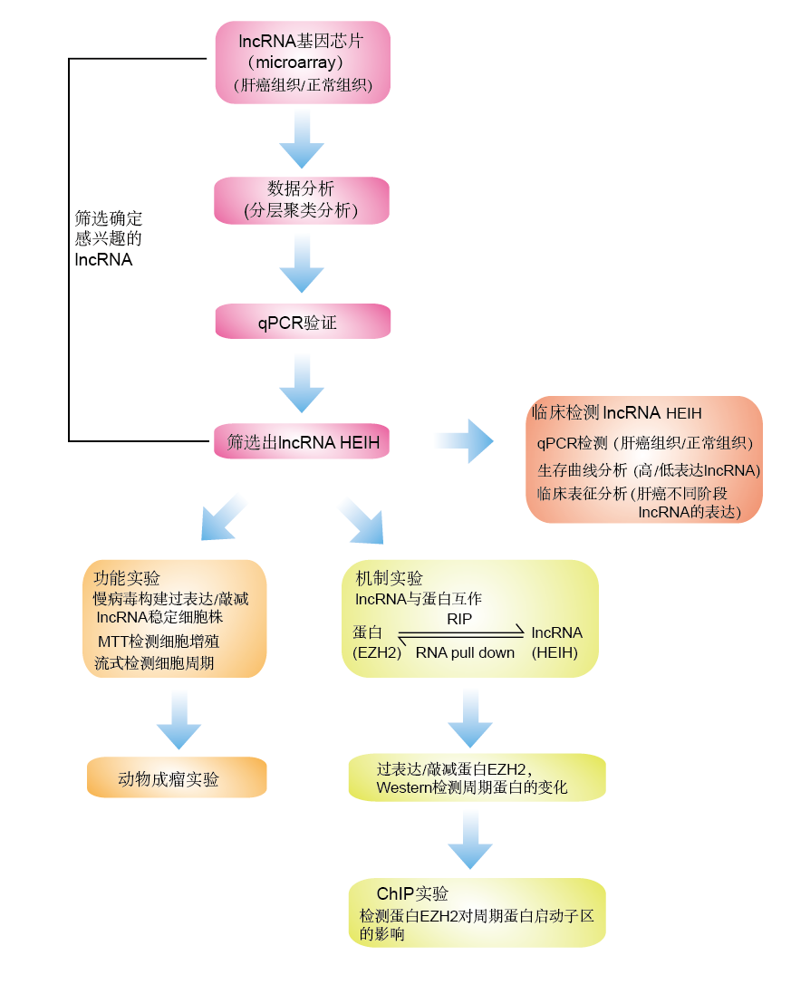 未標(biāo)題-2.png