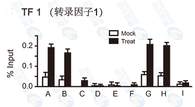 CHIP結(jié)果圖（Q-PCR）.png