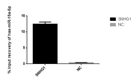 RNA-RNA pull-down q-pcr結(jié)果圖.png.jpg